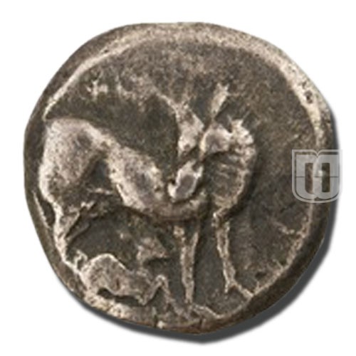 Hemistater |  | Psoma.2006 | O