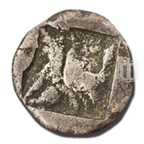 Hemistater |  | Psoma.2006 | R