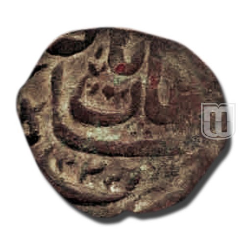 Falus |   | Todywalla A56/L870 | R