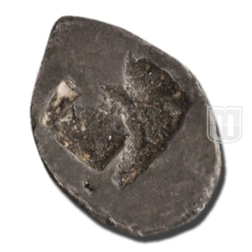 1/24 Stater |  | Kroll and Kim AJN 2008 | R