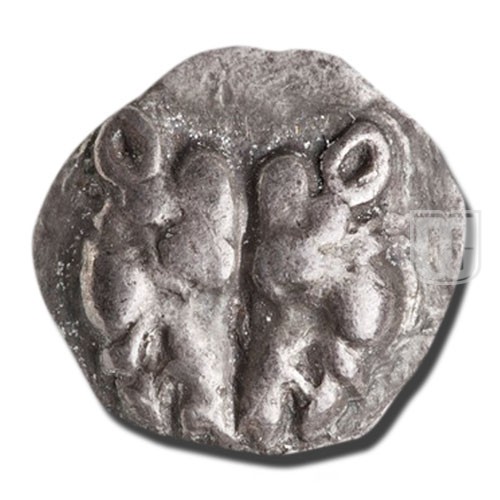 1/2 Stater |  |  | O