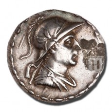 Tetradrachm | MIG 270 a | O
